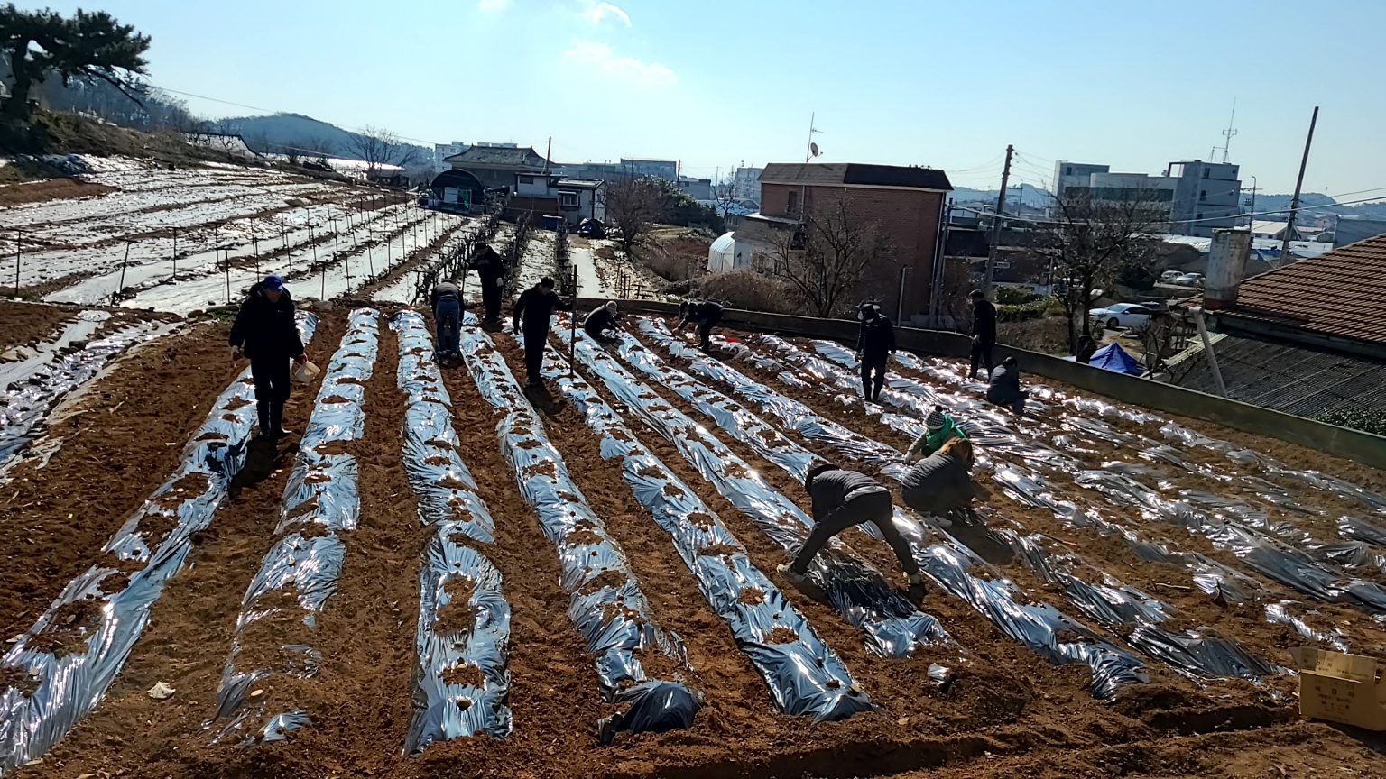 안산시 대부동 행복마을관리소, 행복마음 나눔 사업 시행