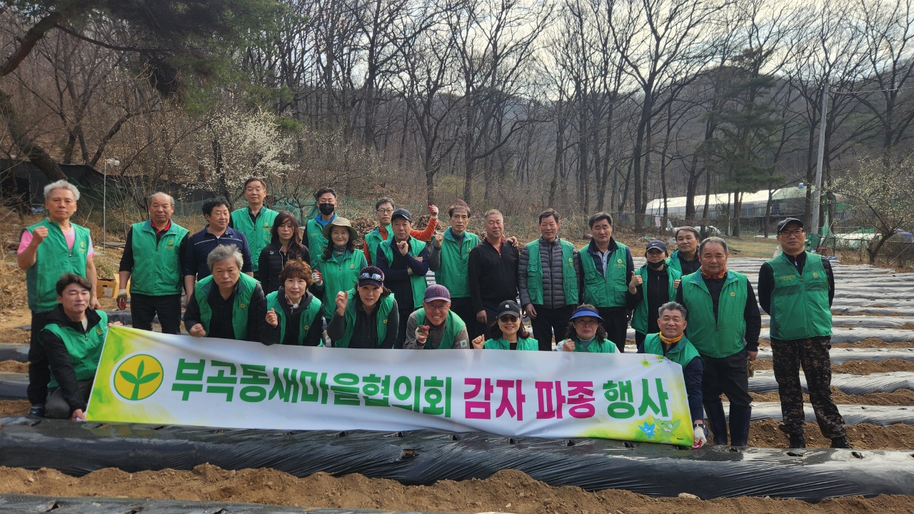 안산시 부곡동 새마을남녀지도자협의회, 사랑의 감자 심기