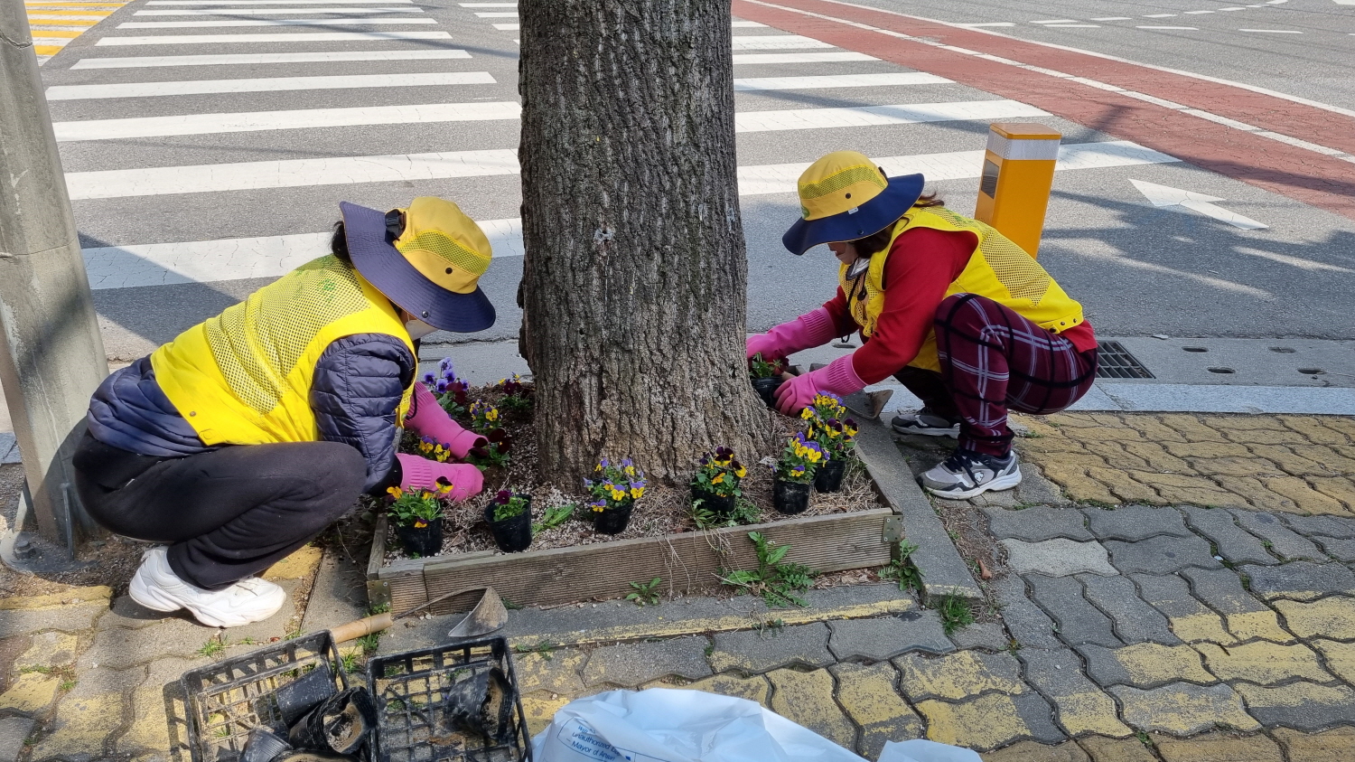 안산시 이동 행복마을관리소,‘이동네 아름다운 거리 만들기’지역특색사업 추진