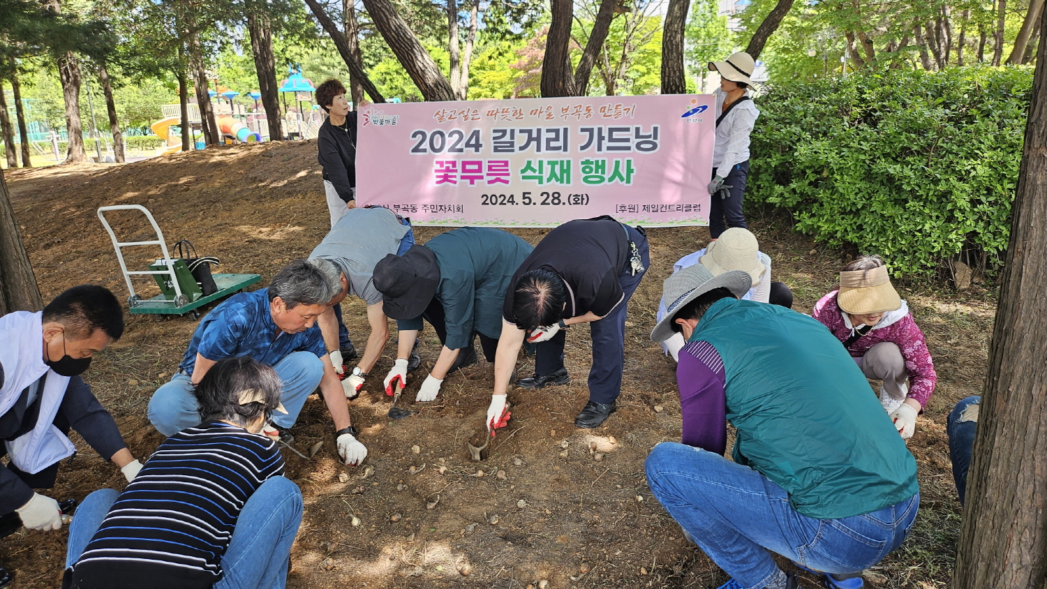 안산시 부곡동, 하트공원에 꽃무릇 1만 5천본 식재