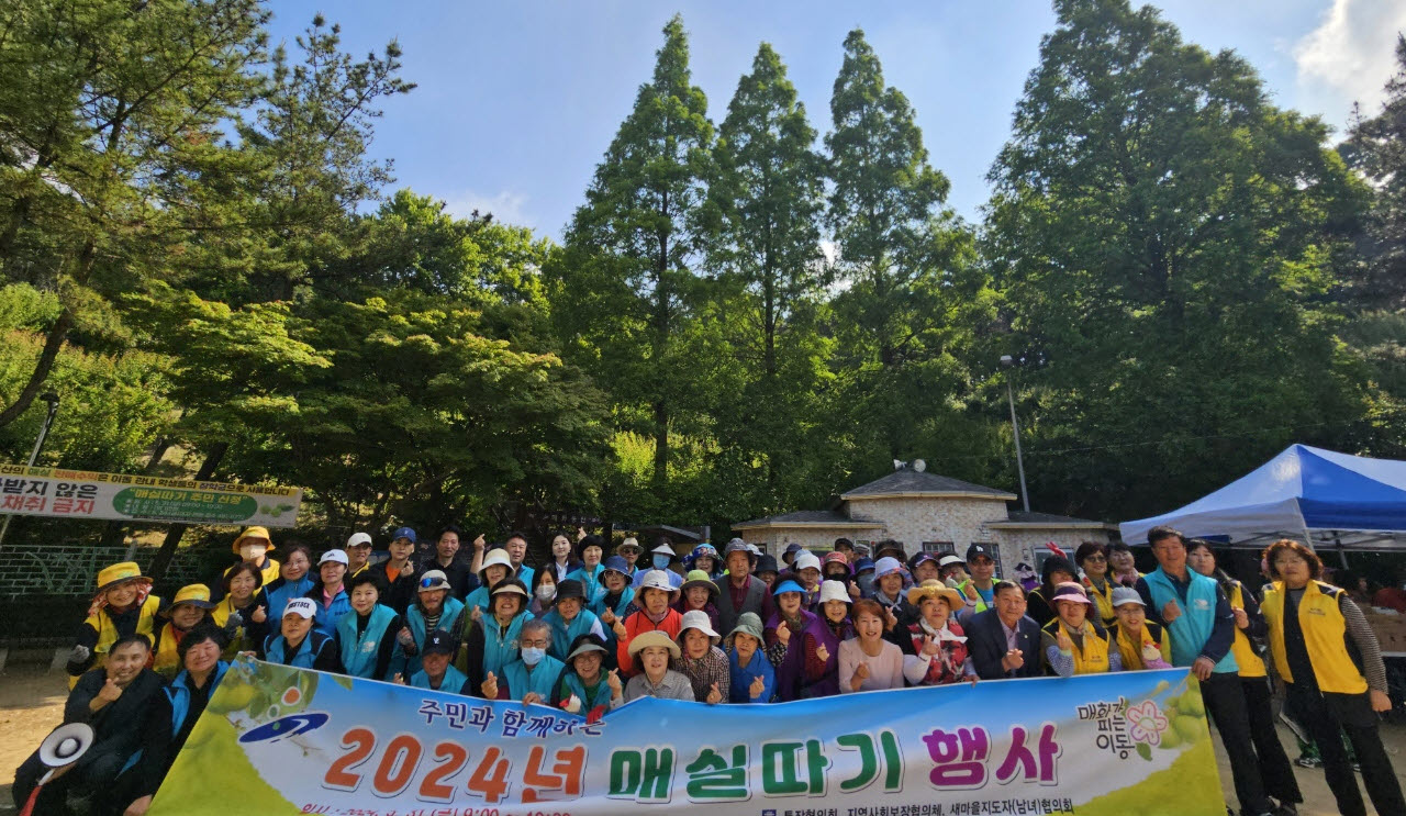 안산시 이동, 주민과 함께 가꾼 매화동산 ‘2024년 매실따기’행사