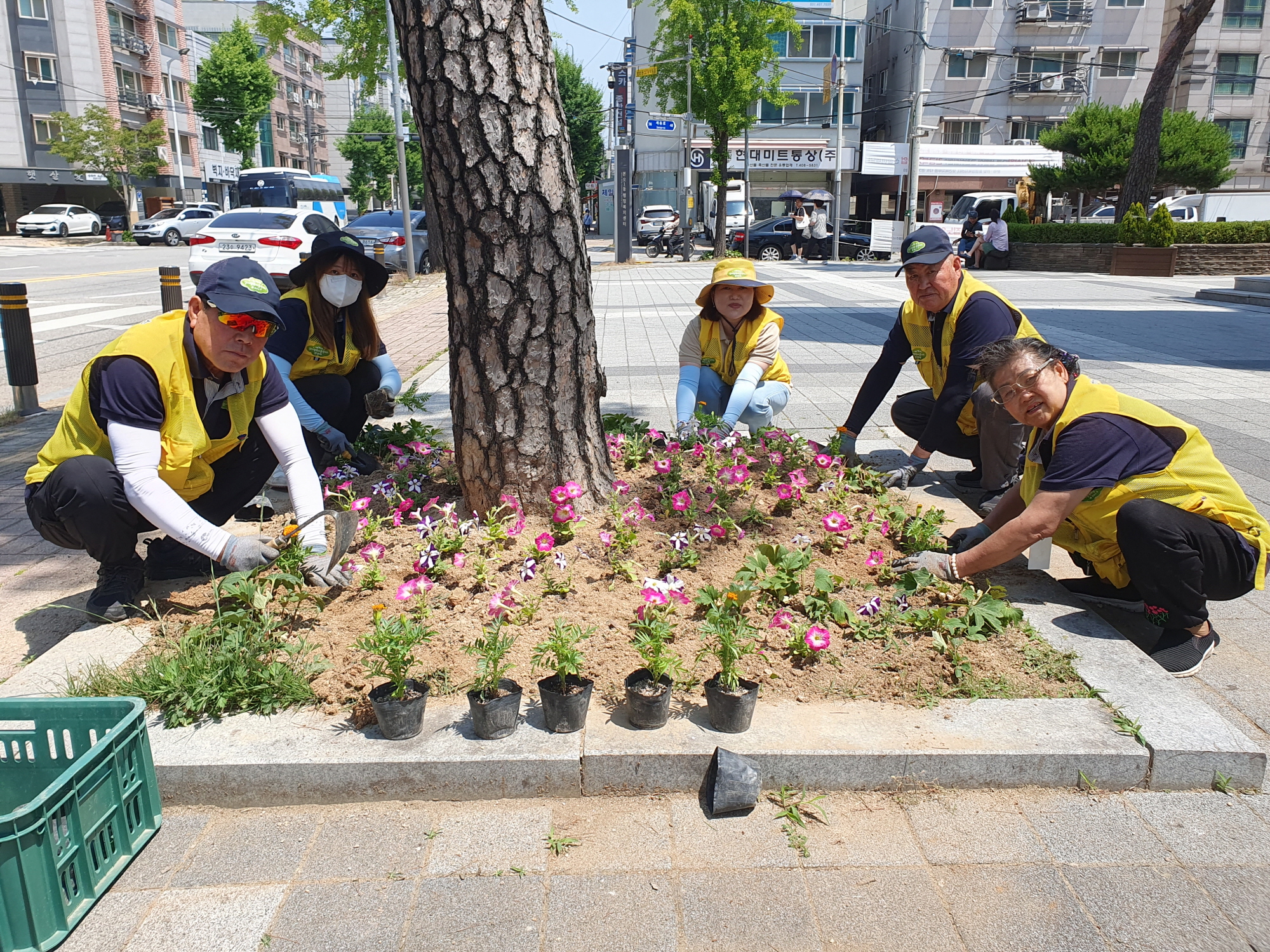 안산시 본오1동 행복마을관리소 싱그러운 여름꽃 식재