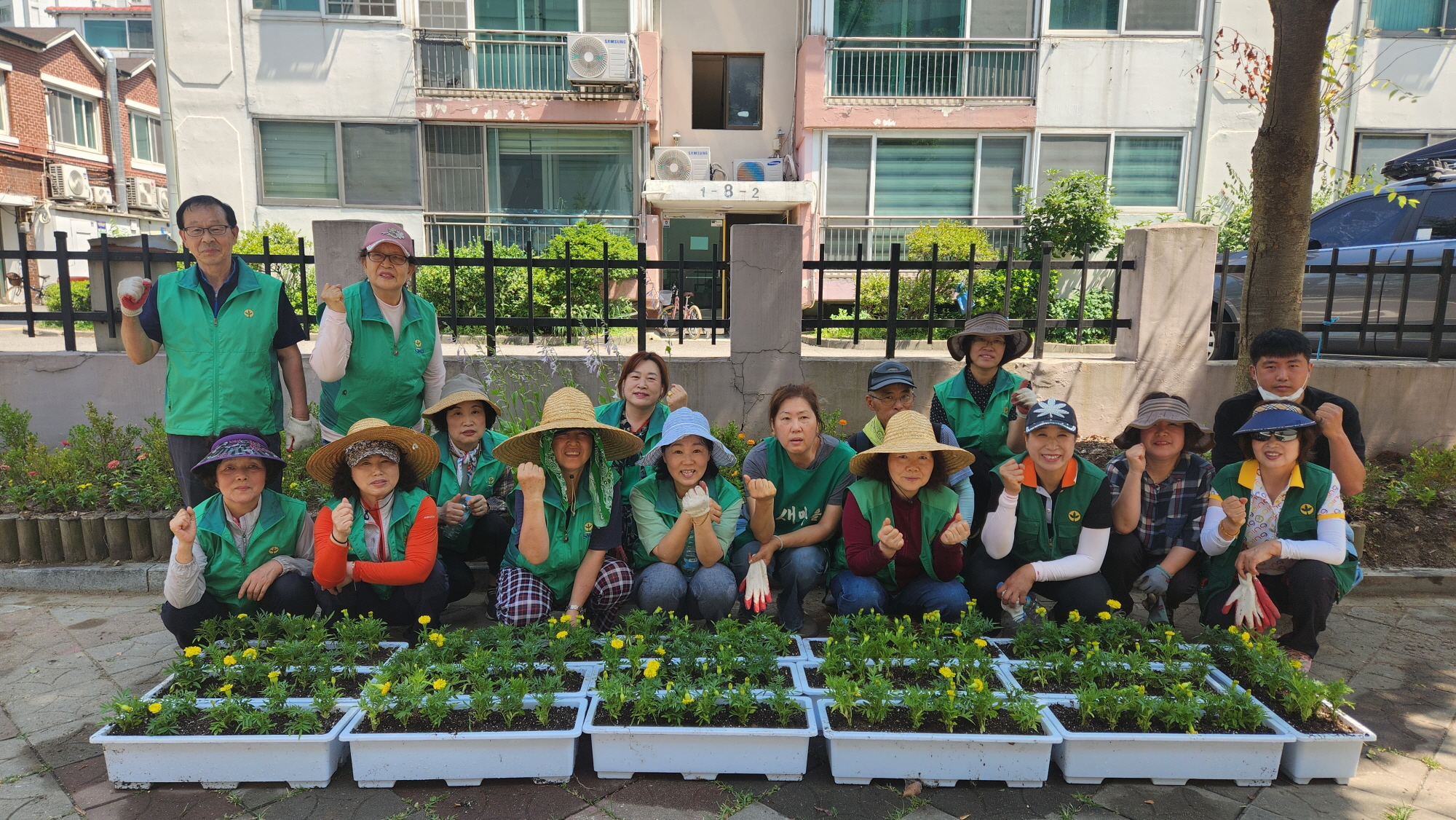 안산시 성포동 새마을회, 여름꽃 1,000본 식재