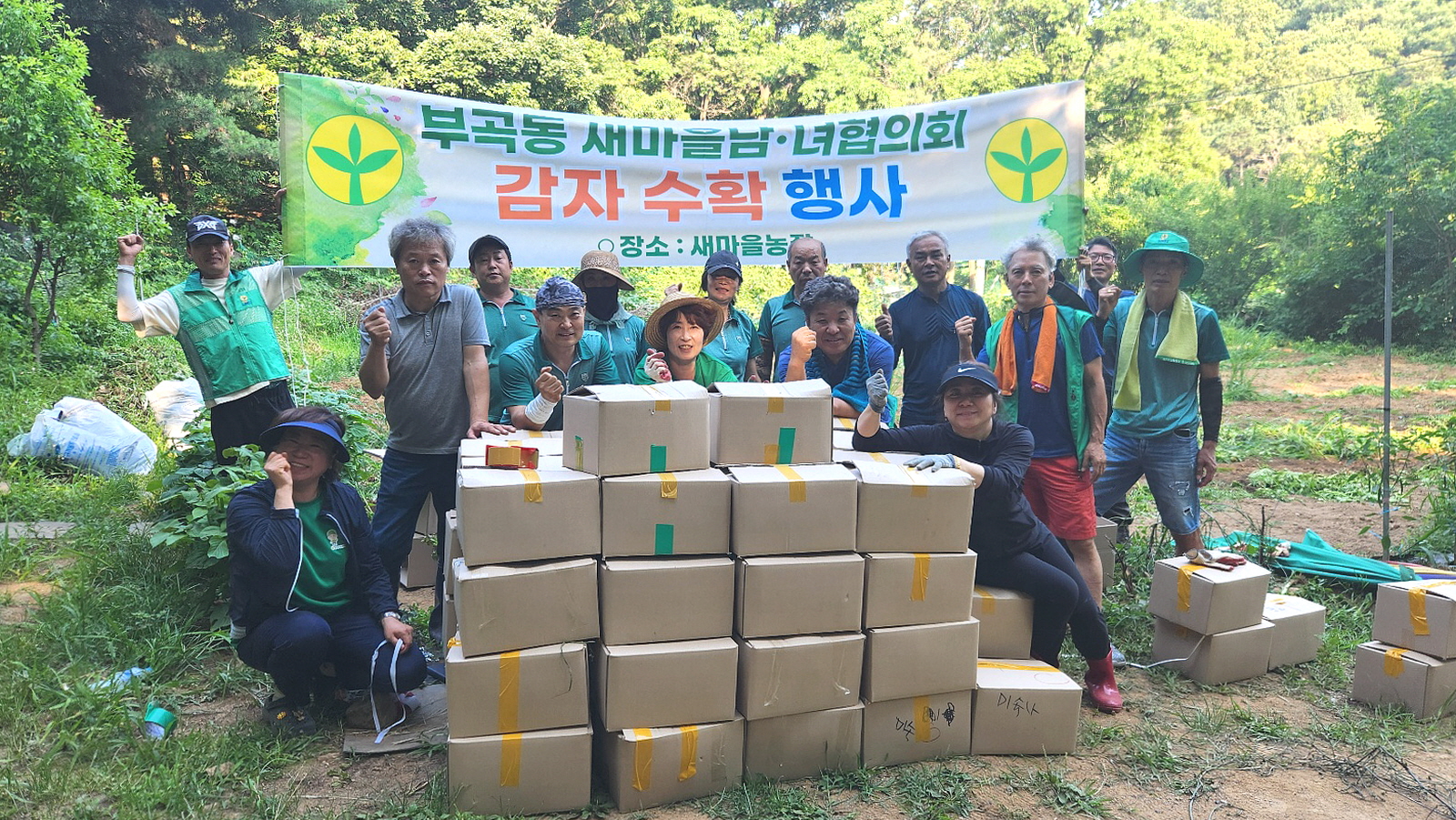 안산시 부곡동 새마을 남녀협의회, 사랑의 감자 수확