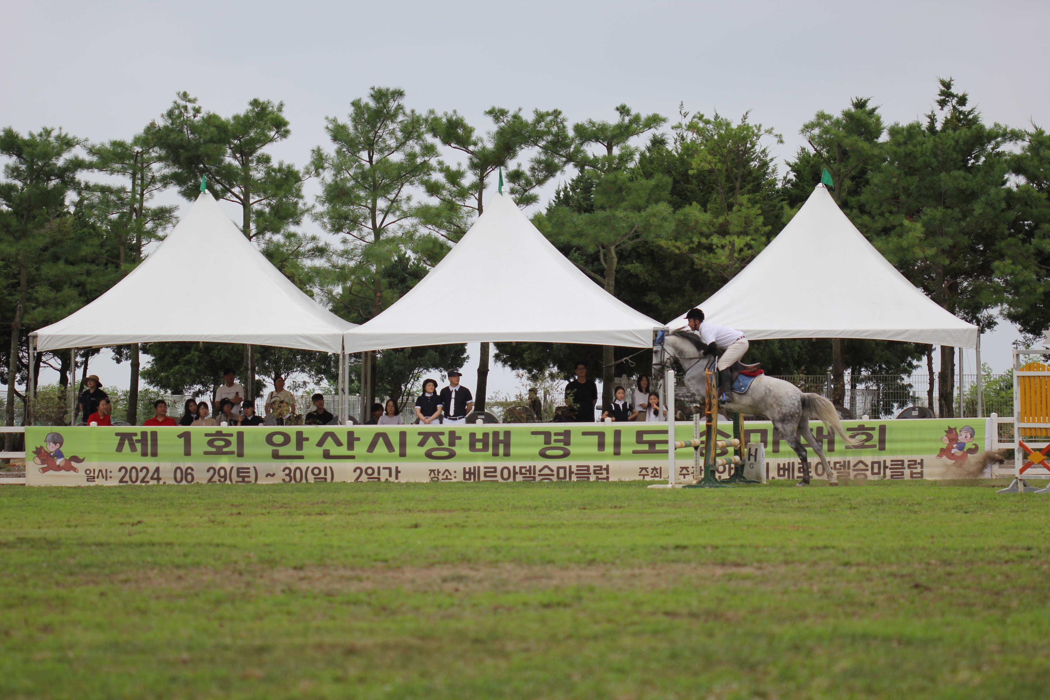 안산시, 제1회 안산시장배 경기도 승마대회 뜨거운 열전 마무리 