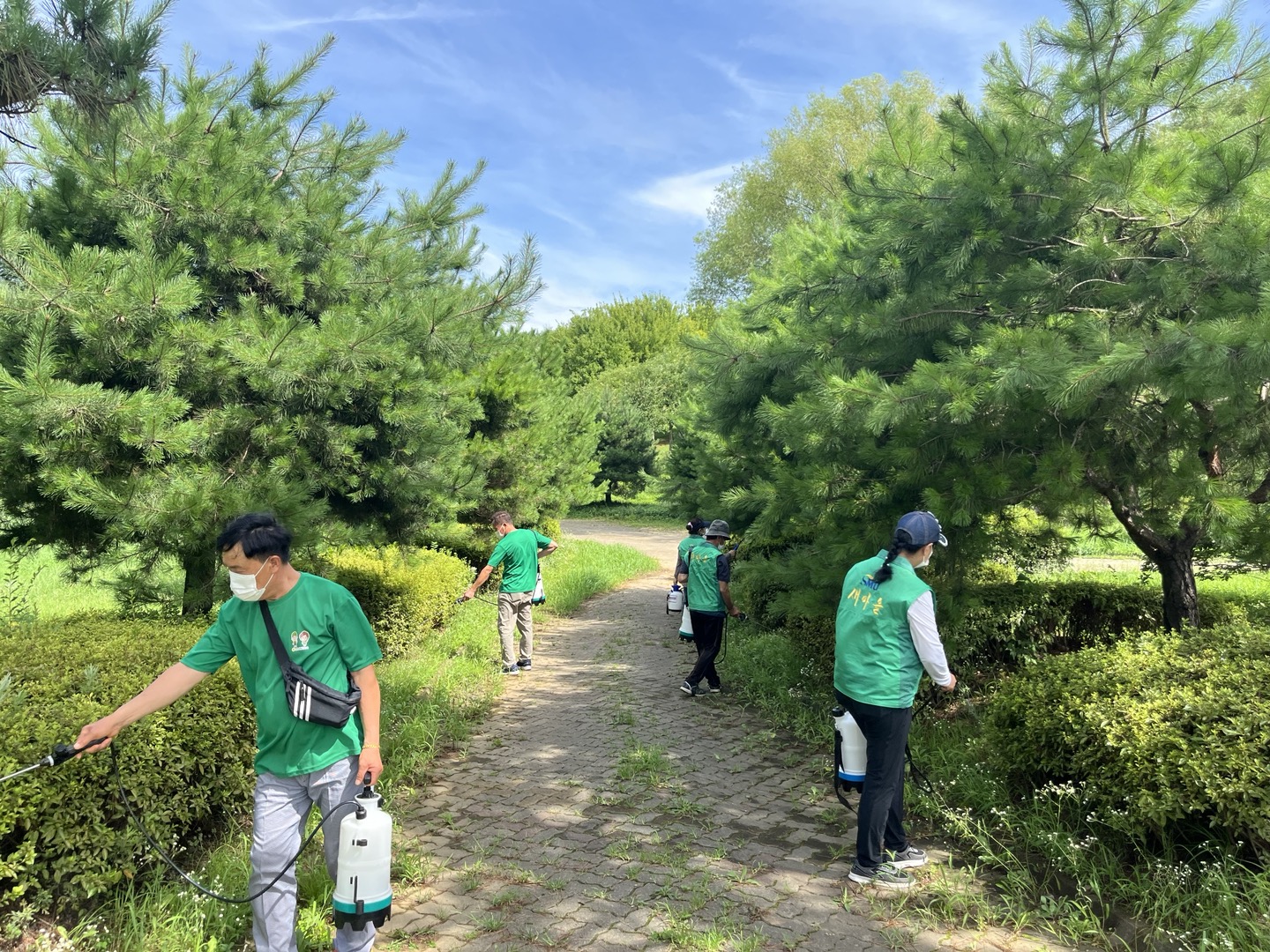 안산시, 여름철 모기 매개 감염병 대비 민·관 합동 일제 방역