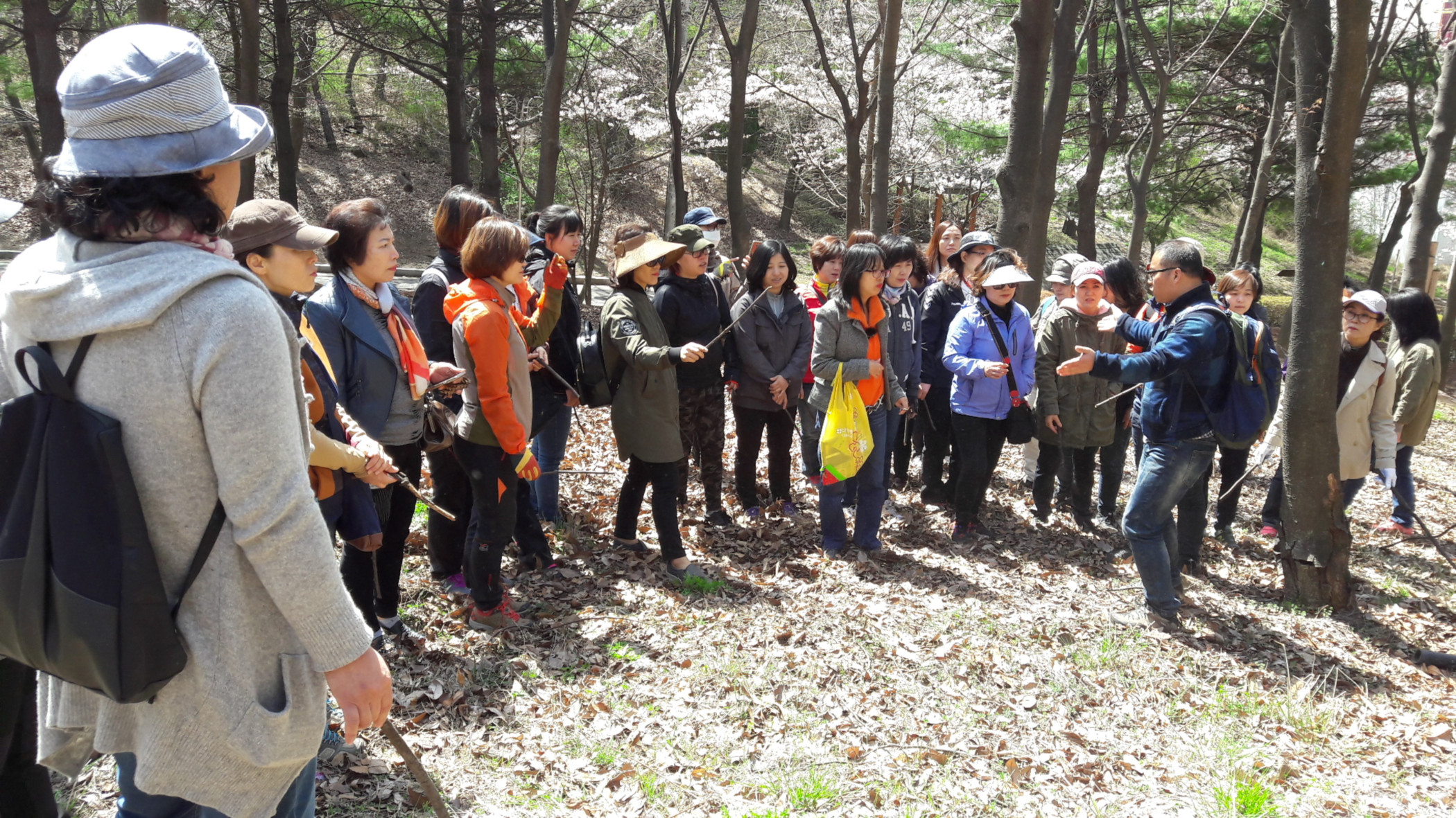 중앙공원 해설이 있는 숲 체험 실시