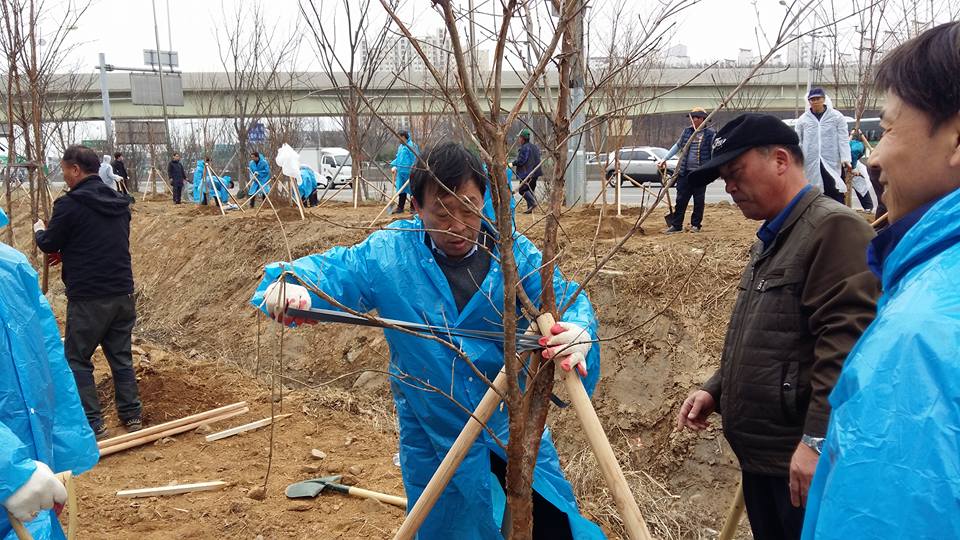 안산시, 제72회 식목일 나무심기 행사 개최