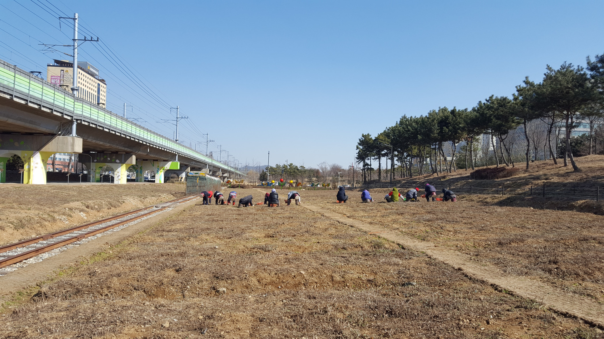 안산시 단원구, 수인선 협궤철로변 야생화 단지 조성 시작