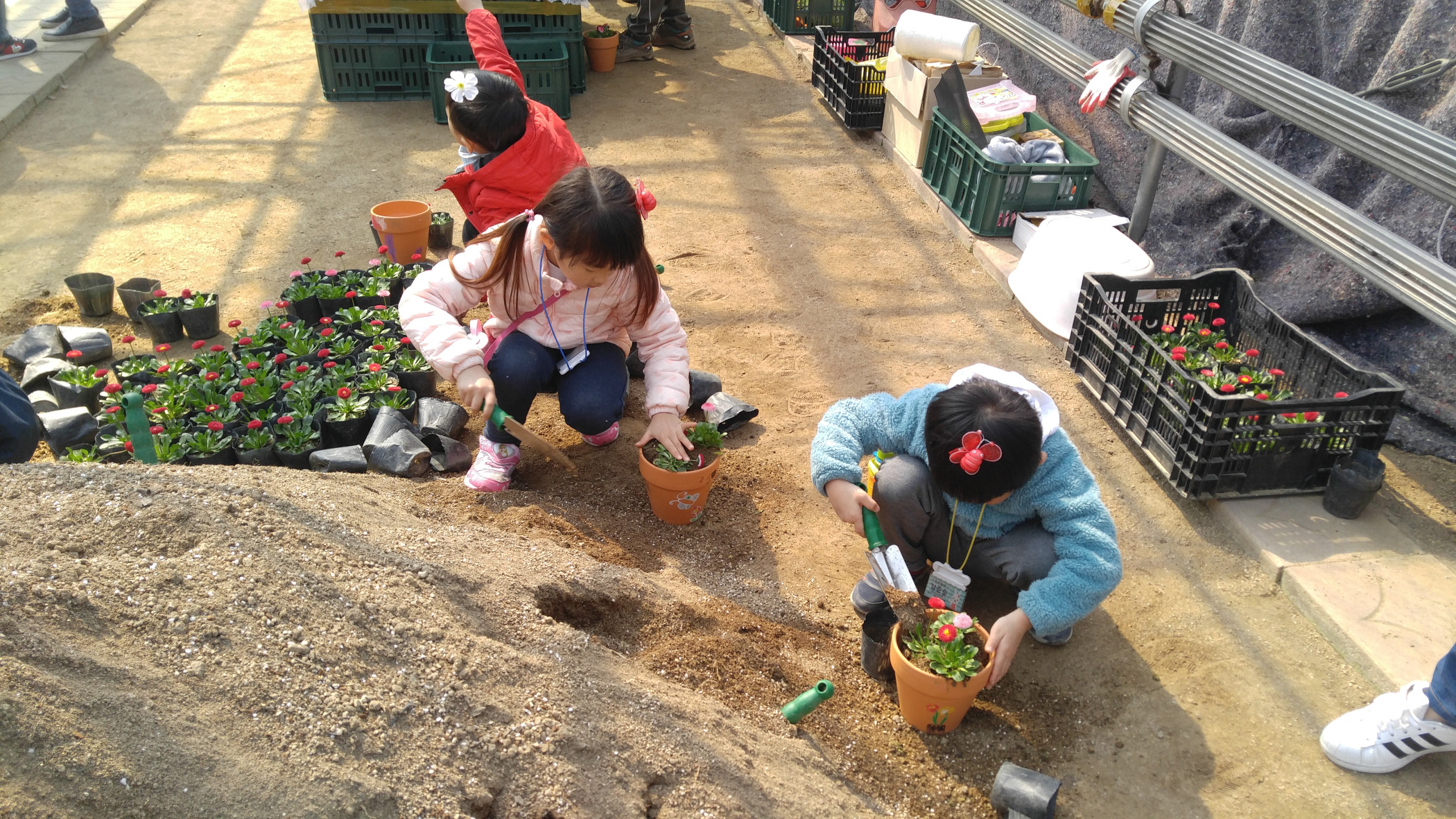 안산시 어린이 꽃 체험 프로그램 운영