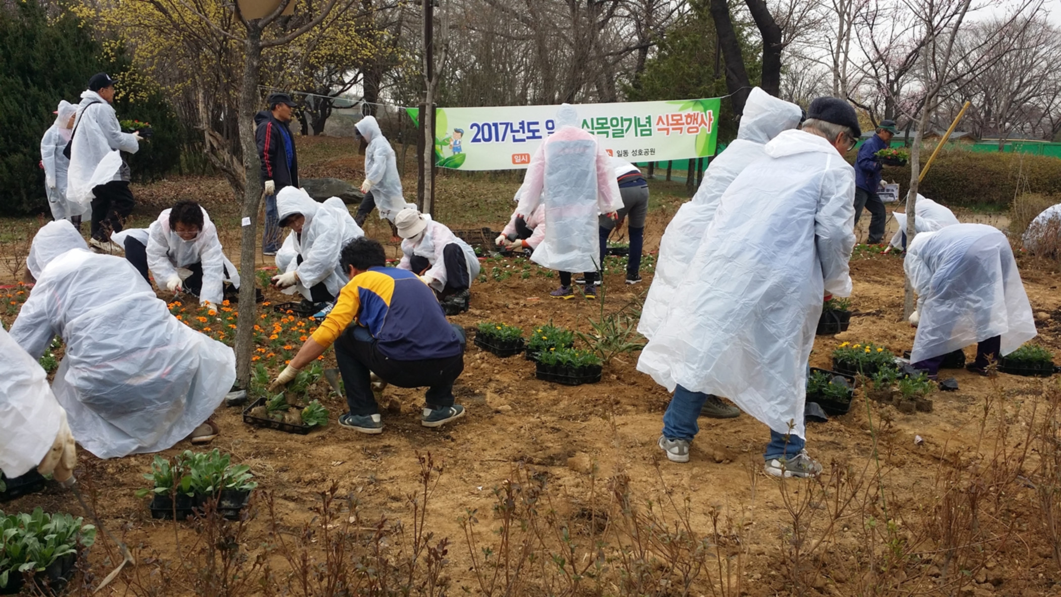 식목일날(4월 5일), 동주민센터 나무심기 행사 이모저모