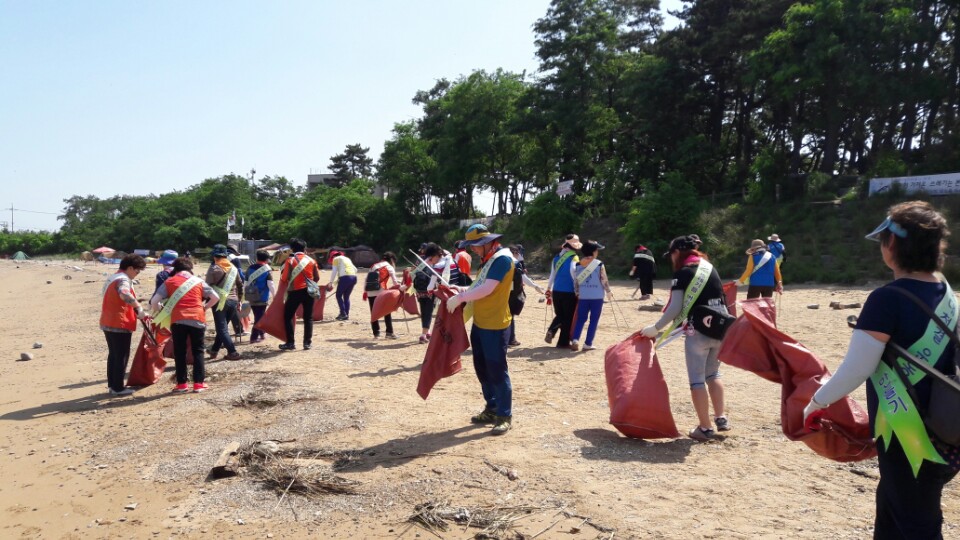 한국자유총연맹안산시지회, 폭염 속 대부도에서 건강한 바다만들기