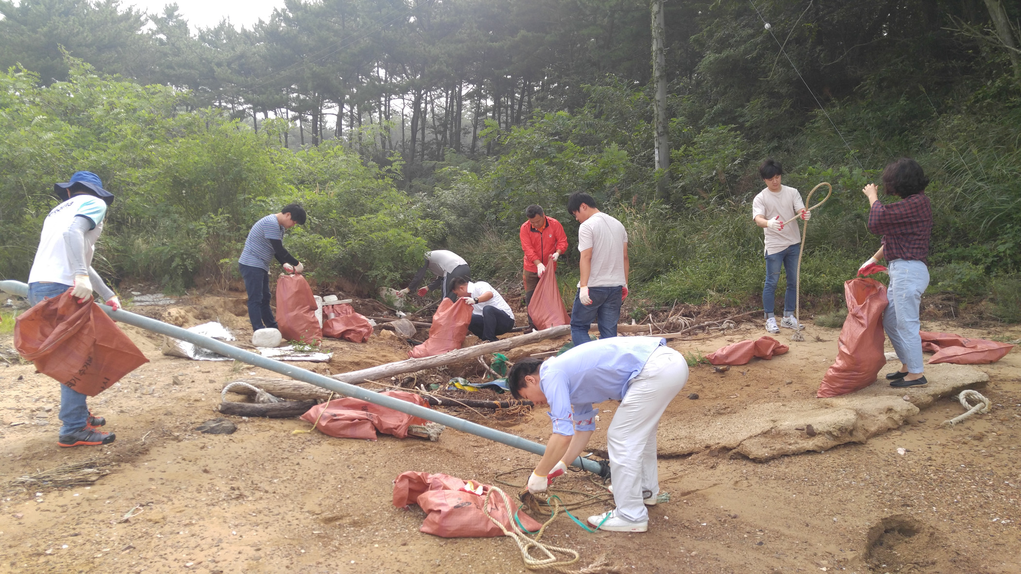 안산시, 습지보호지역 ‘국제연안정화의 날’활동