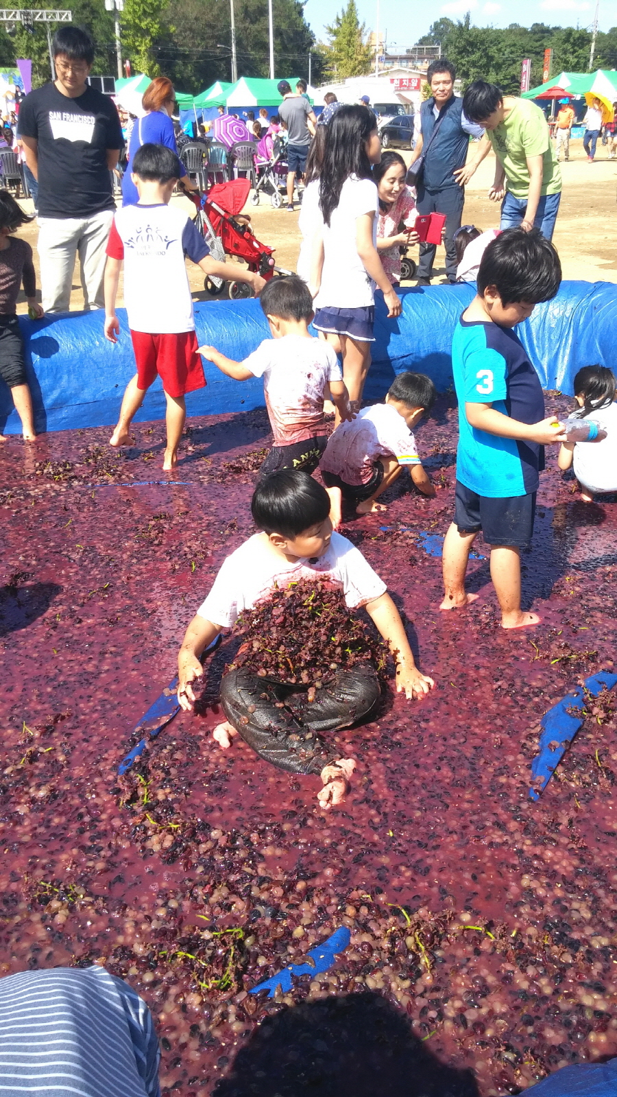 ‘제14회 안산 대부포도축제’성황리에 막 내려