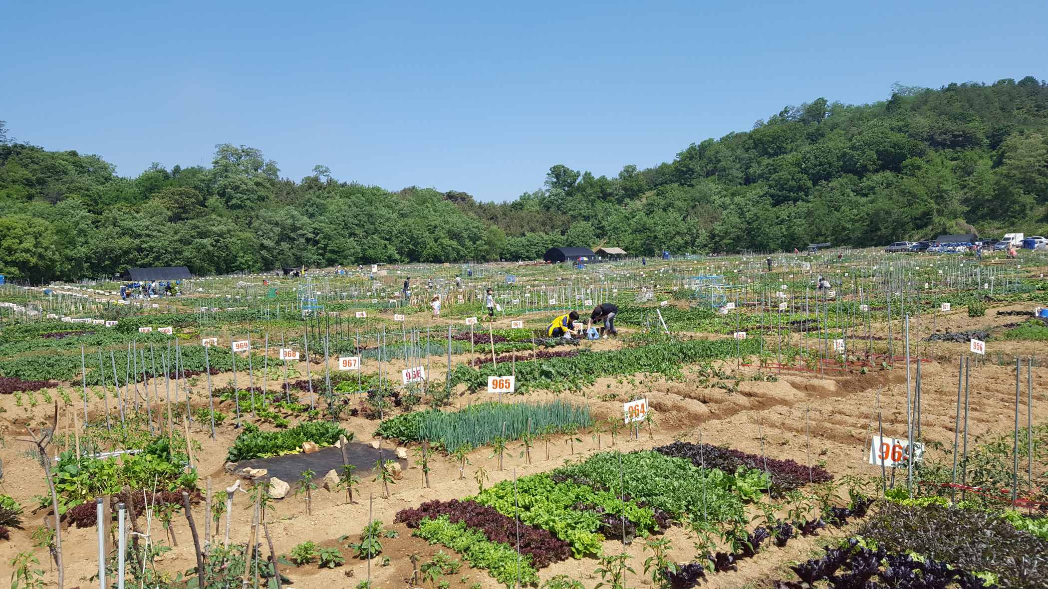 2018년 안산시 주말농장 분양신청