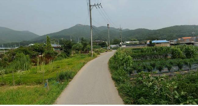 개발제한구역 해제지역 내 도로개설사업 추진