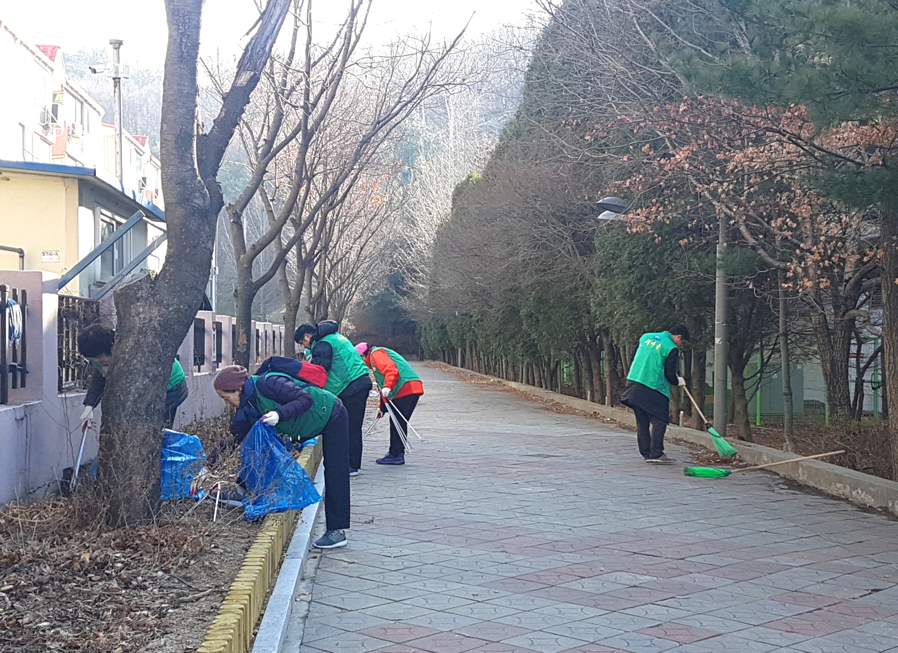 성포동 새마을남여협의회,  새봄맞이 노적봉 야생화단지 정비