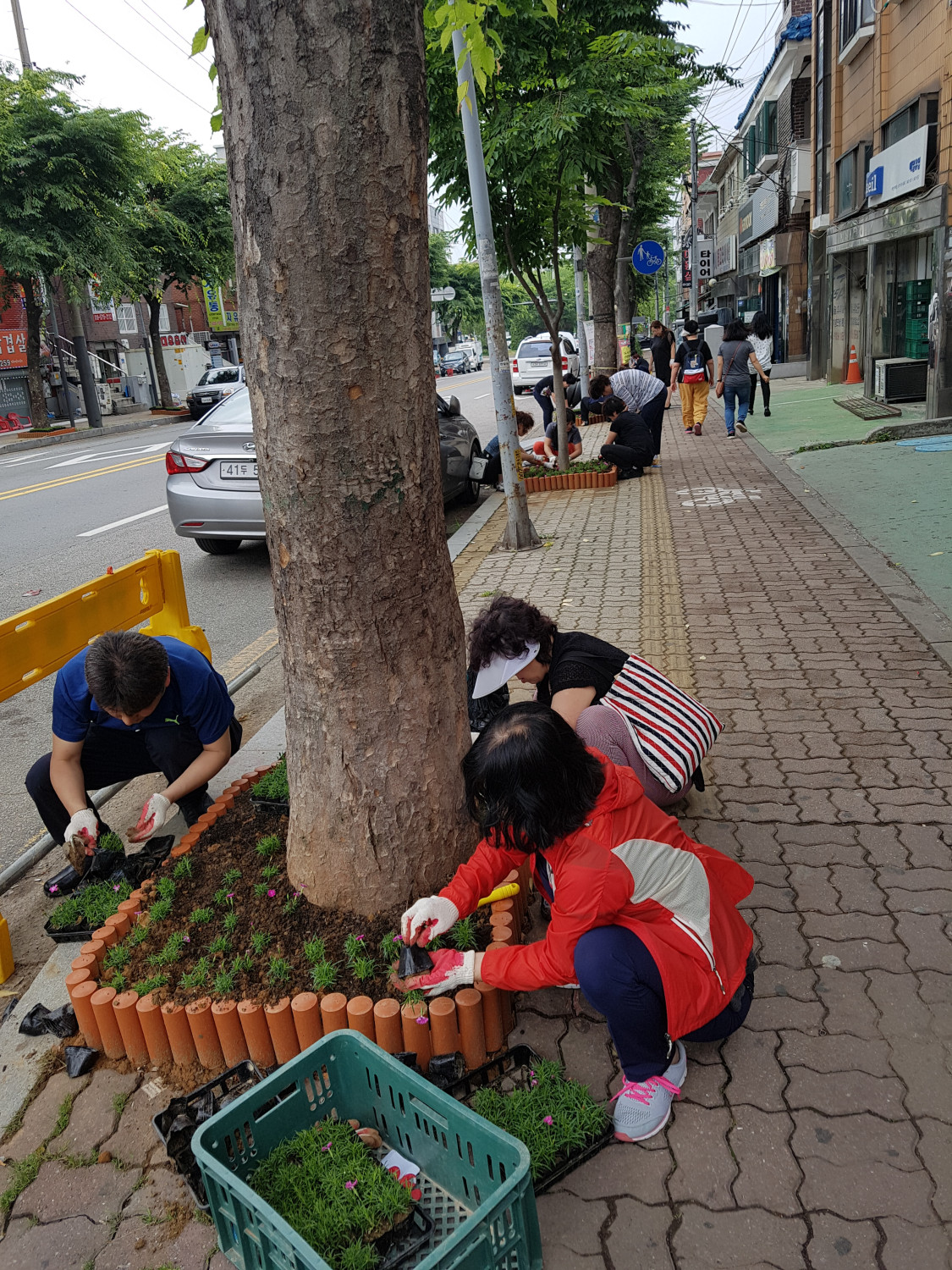 선부2동 주민자치위원회, 땟골 거리 일대 가로수 화단 조성