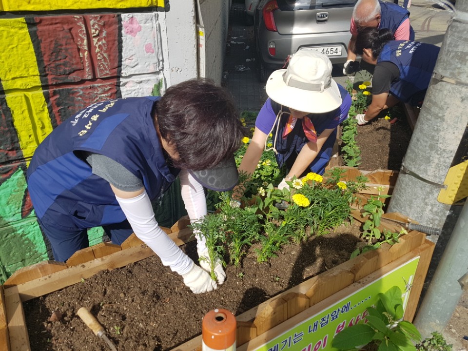 일동 청결지킴이, 가을꽃 식재로 반갑게 가을맞이