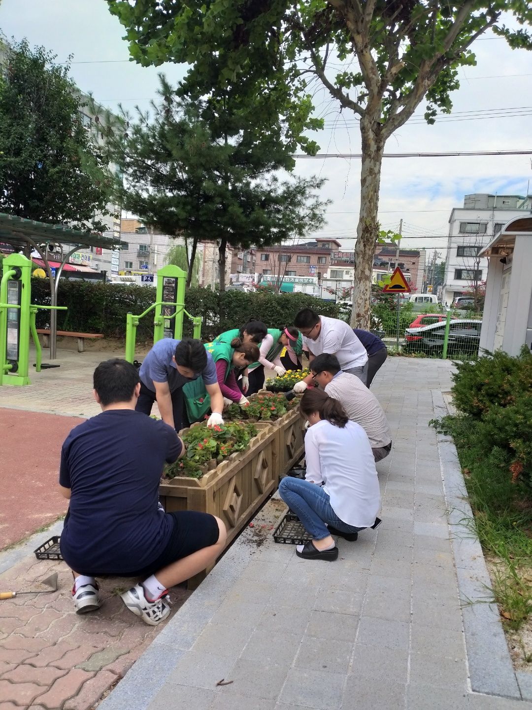 부곡동, 어린이공원 플랜트박스에 가을꽃 식재