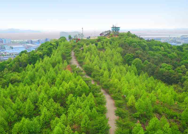 조선시대 안산 유일의 교육기관, 안산향교 모습 드러내