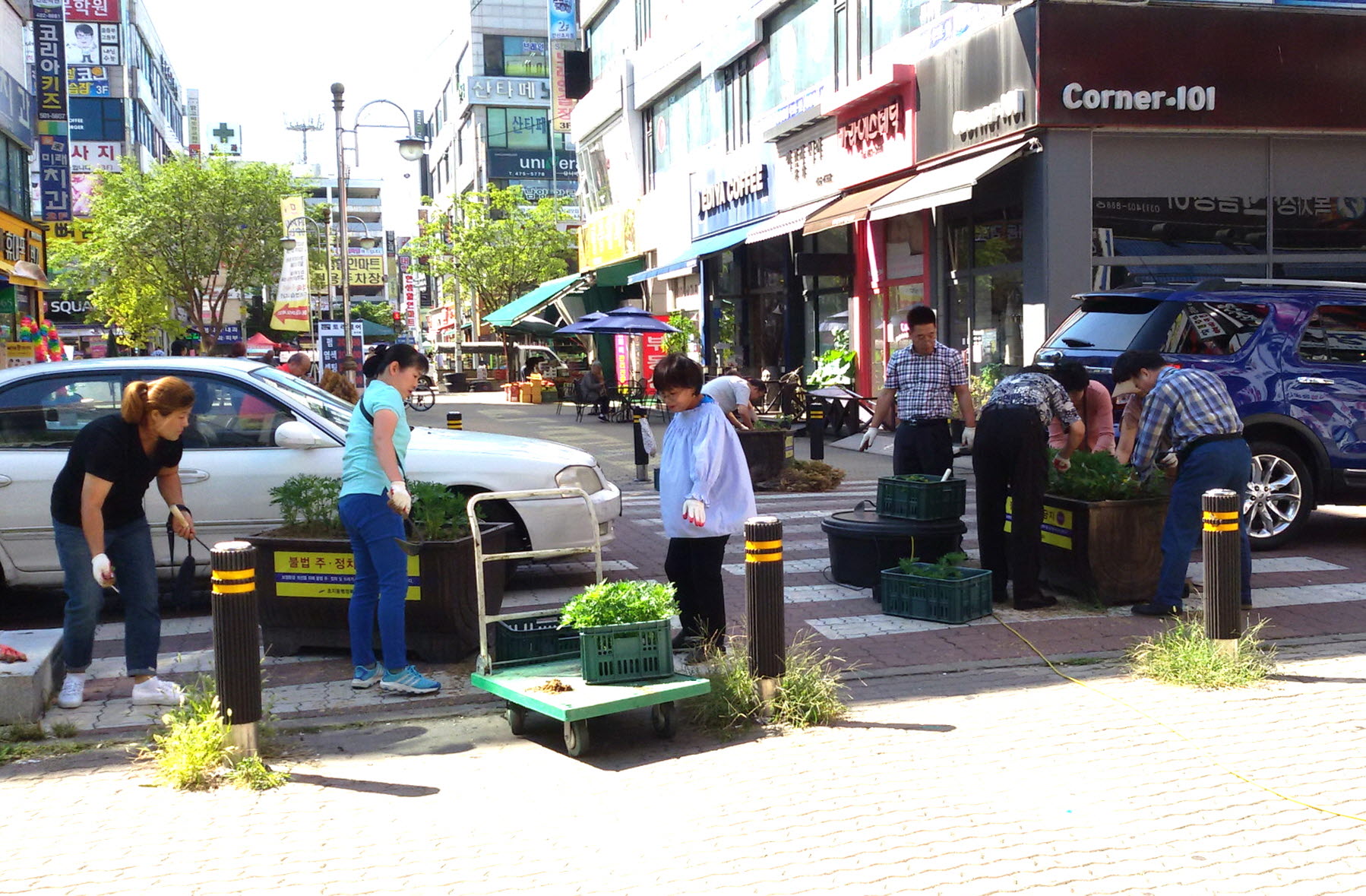 초지동, 가을향기 가득한 쌈지화단 조성