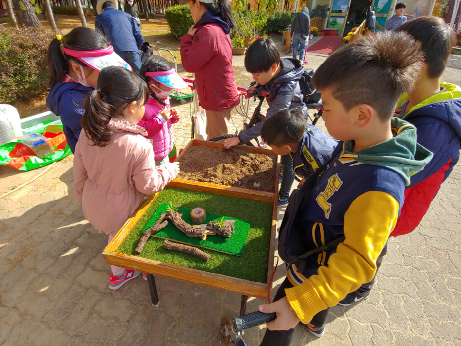 와동 「2018 곤충이 살아있는 와동 기왓골 축제」 성료