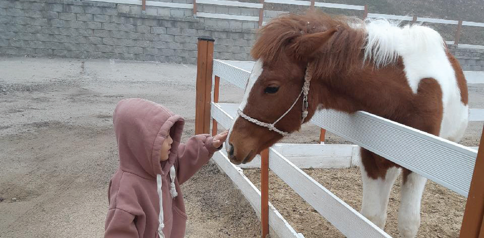 사회적기업 ㈜ 안산해피홀스클럽