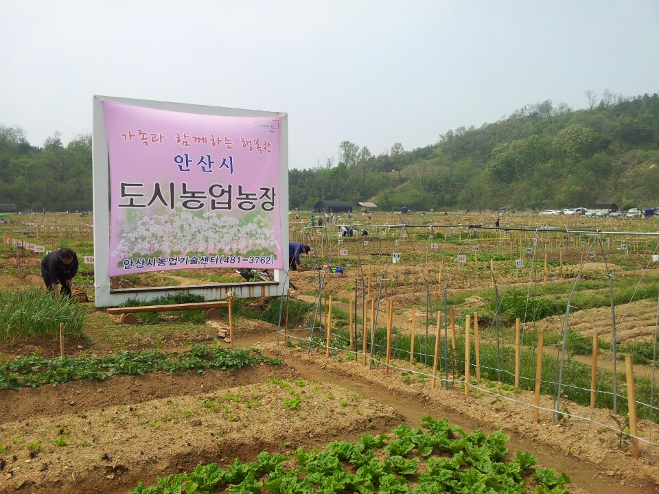 안산시, 2019 주말농장 분양