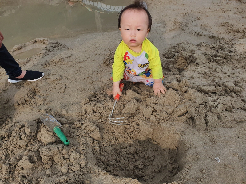 <법률상식> 난폭·보복운전의 위험성과 처벌