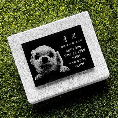 강아지비석추천