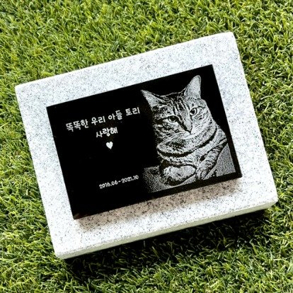 수목장비석